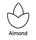 An almond icon representing allergen information