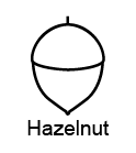 A hazelnut icon representing hazelnut allergen information.