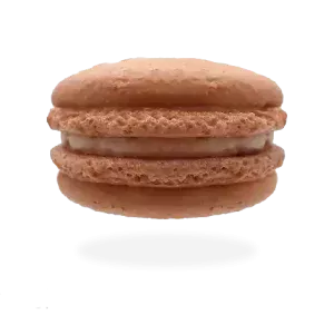 French caramel macaron with a caramel drizzle and sprinkled with sea salt by Pierre and Michel your authentic French bakery.