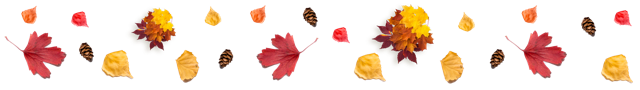 Autumn-Leaves-200 Medium
